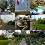 collage_bali