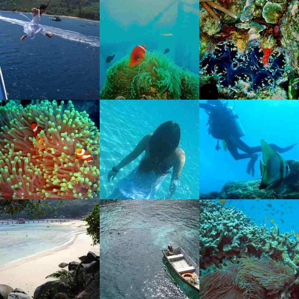 collage_tioman1