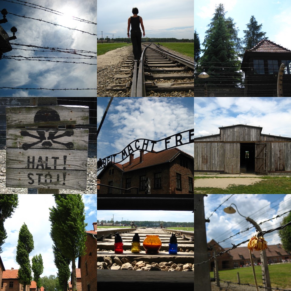 collage_auschwitz