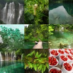 collage_plitvice lakes national park