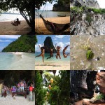 collage_krabi1