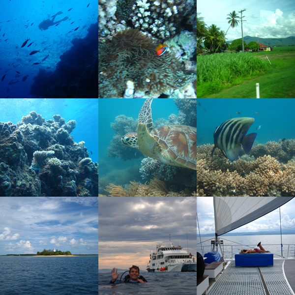 collage_great barrier reef