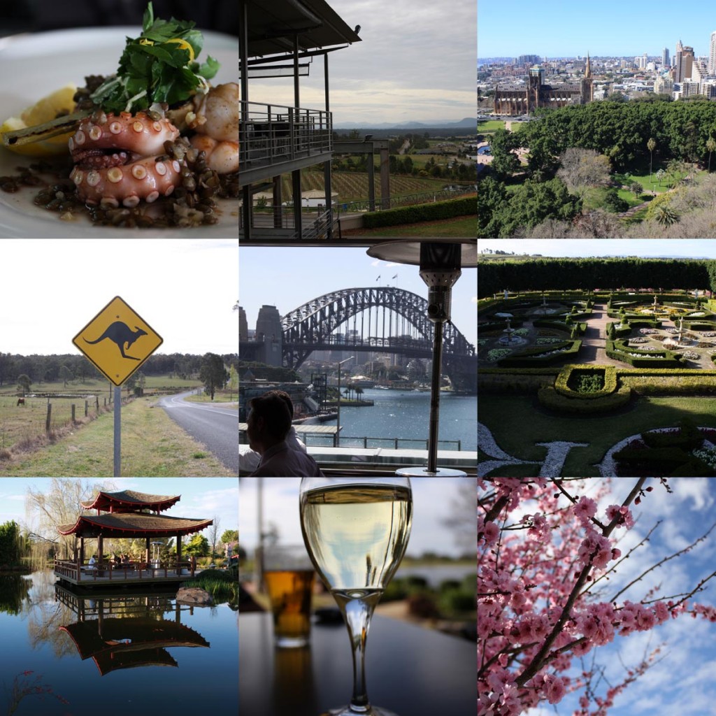 collage_sydney valley