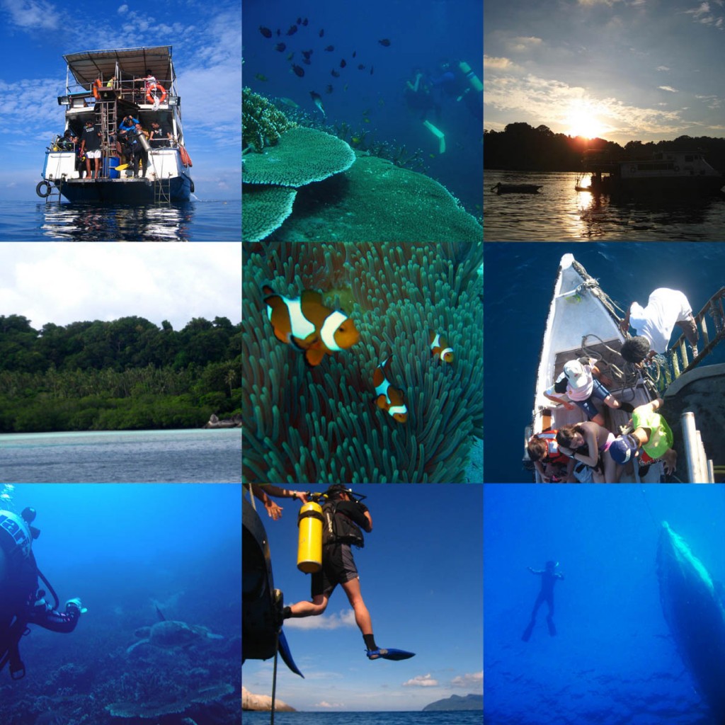 collage_tioman10