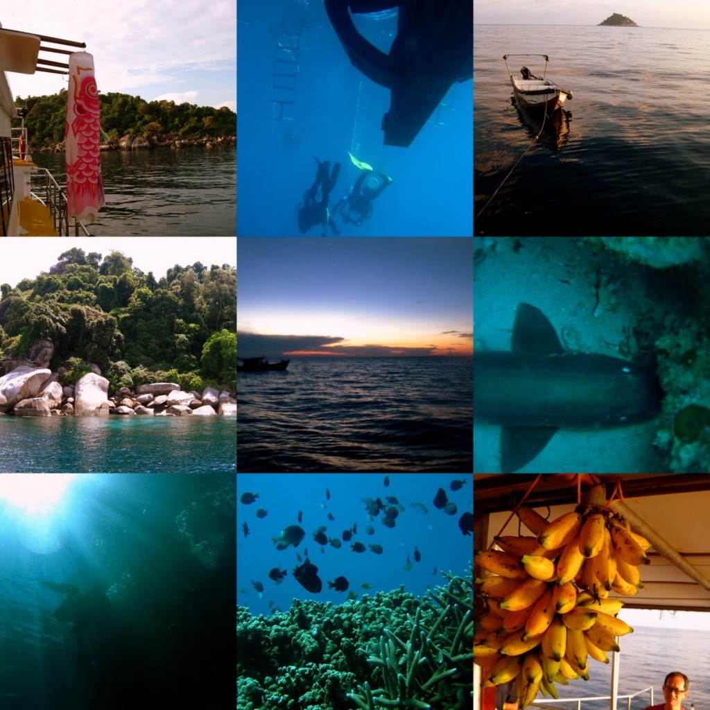 collage_tioman10_1