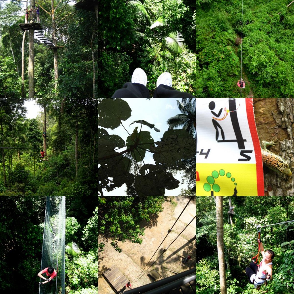 collage_rainforest01